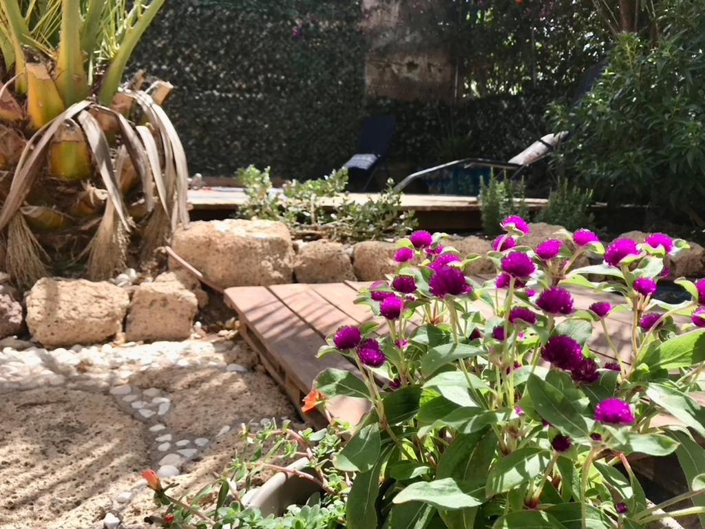 Casa Vivaqi Tenerife Granadilla De Abona Buitenkant foto